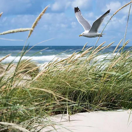 Villa In Near Alberstrand *